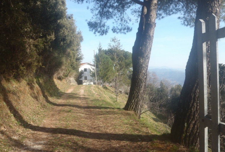 D.M.S A villa in the mountains of Camaiore area 
