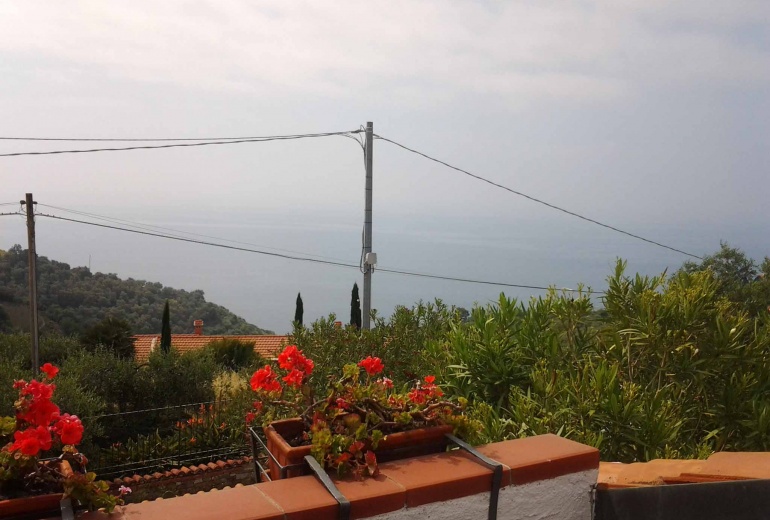 DIK239 Imperia. Wonderful villa with swimming pool and  garden by the sea!