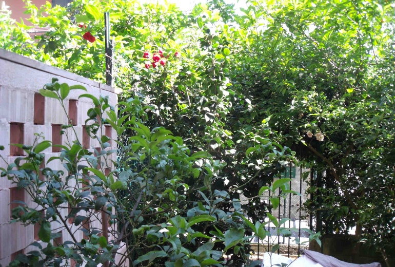 DIK139 Sestri Levante. A nice apartment with a garden!