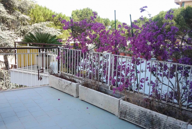 DNIK243 Sanremo. Spacious apartment with terrace!