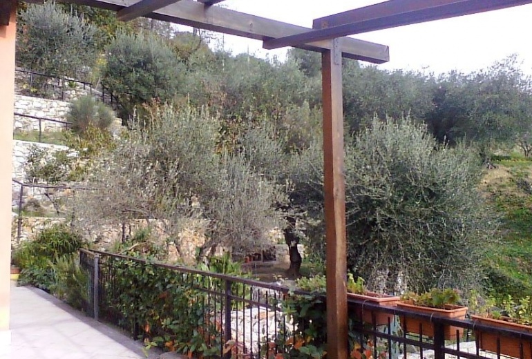 DIK264 Finale Ligure. Beautiful villa with olive gardens.