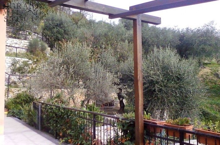 DIK264 Finale Ligure. Beautiful villa with olive gardens.