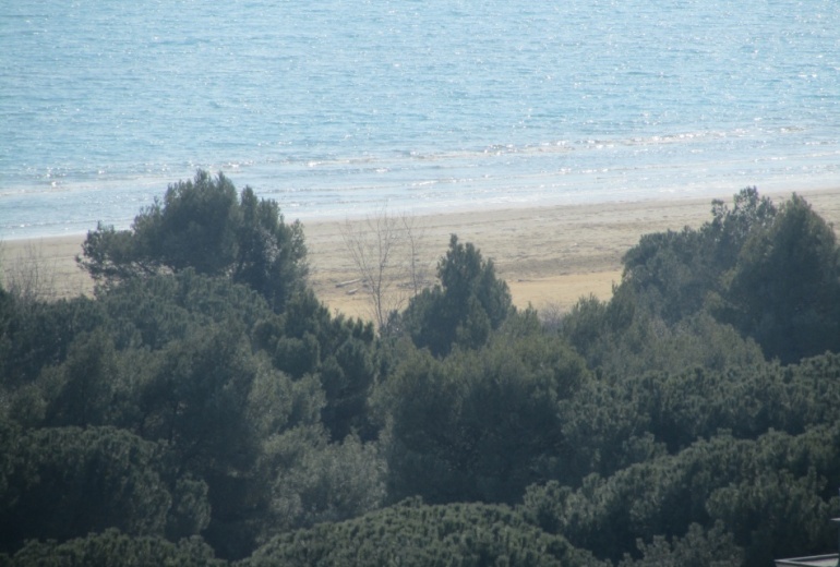 D-MM. Apartments in Lignano Sabbiadoro