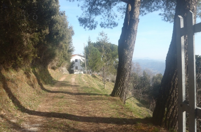 D.M.S A villa in the mountains of Camaiore area 