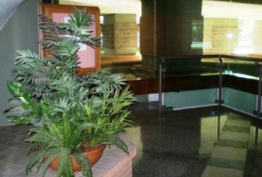 D-SVM.288. An office of 90 sq.m. in Rome