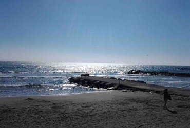 DNIK92 Panoramic view apartment by the sea in Sanremo